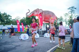 BIB: 
                            <button type="button" onclick="openModal(26551690)" class="btn btn-primary btn-sm float-right btn-popup" data-toggle="modal" data-target=".modal-high-quality">
                        <i class="fas fa-shopping-cart"></i> Add to Cart
                    </button>
                                            <button type="button" onclick="isThisMe(26551690, true)" class="btn btn-success btn-sm float-right btn-popup btn-isme hidden" data-toggle="tooltip" data-placement="bottom" title="นี่คือรูปของคุณใช่ไหม คลิกที่นี่เพื่อเอาเข้าอัลบั้ม">
                        <i class="fas fa-plus"></i> Add to album
                    </button>
                    <button type="button" onclick="isThisMe(26551690, false)" class="btn btn-warning btn-sm float-right btn-popup btn-isnotme hidden">
                        <i class="fas fa-ban"></i> Remove from album
                    </button>